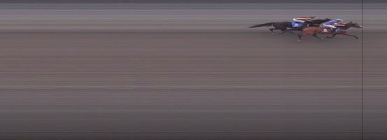 Målfoto for løp 5 på bane OA den 19.08.2024