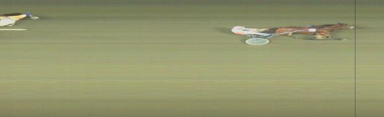 Målfoto for løp 8 på bane OA den 29.09.2024