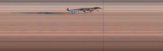 Målfoto for løp 20 på bane OA den 14.10.2024