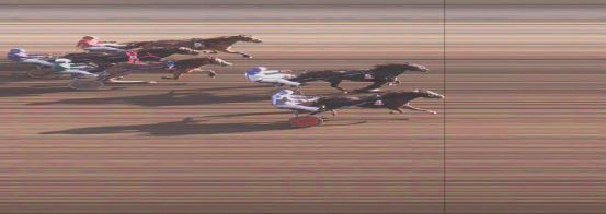 Målfoto for løp 6 på bane OA den 14.10.2024