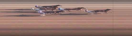 Målfoto for løp 7 på bane OA den 14.10.2024