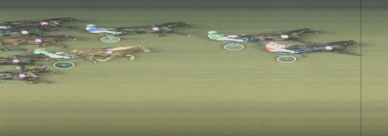 Målfoto for løp 8 på bane OA den 04.11.2024