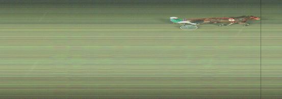 Målfoto for løp 1 på bane OA den 17.11.2024