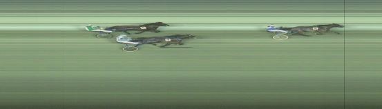 Målfoto for løp 1 på bane OA den 29.12.2024