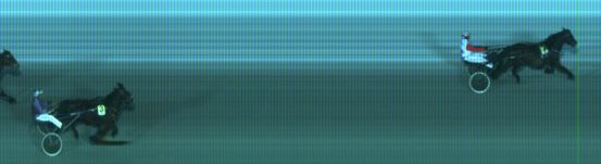 Målfoto for løp 1 på bane ST den 19.01.2014