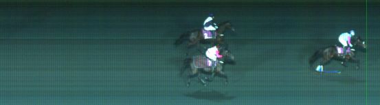 Målfoto for løp 8 på bane ST den 02.03.2014