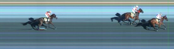 Målfoto for løp 1 på bane ST den 16.07.2014