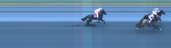 Målfoto for løp 8 på bane ST den 10.08.2014