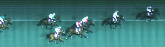 Målfoto for løp 4 på bane ST den 12.10.2014