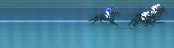 Målfoto for løp 1 på bane ST den 19.10.2014