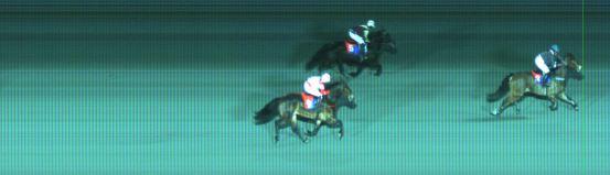 Målfoto for løp 8 på bane ST den 11.01.2015