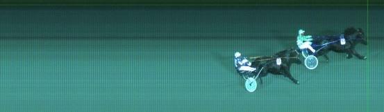 Målfoto for løp 5 på bane ST den 08.11.2015