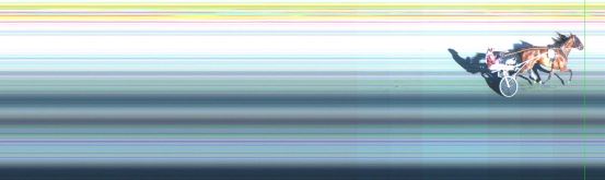 Målfoto for løp 4 på bane ST den 02.07.2017