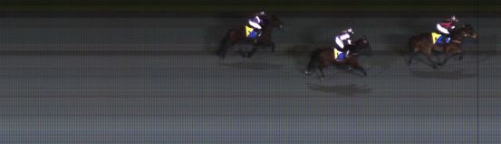 Målfoto for løp 8 på bane ST den 06.12.2020