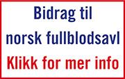 http://www.ovrevoll.no/avl/Bidrag-norsk-fullblodsavl/