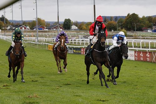 Artikkelbilde