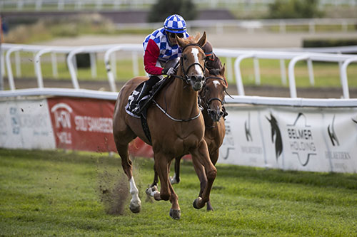 Ascot Brass ©hesteguiden.com 