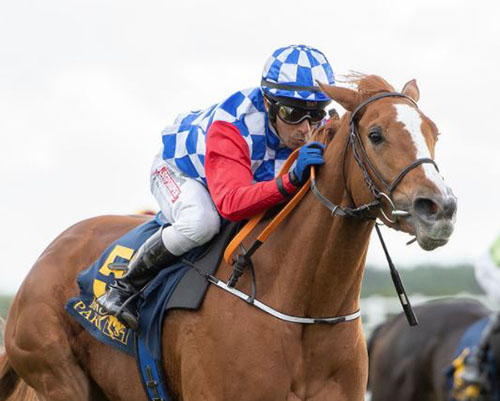 Ascot Brass Foto Svensk Galopp