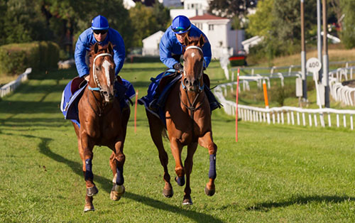 Derbygalopp