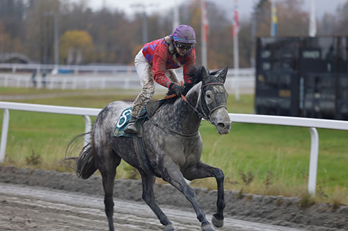 Electra Blue ©hesteguiden.com 