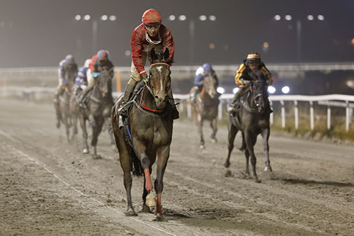 Elegant Rock ©hesteguiden.com