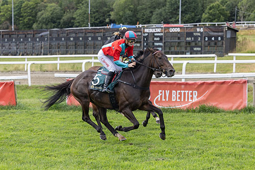 Sir Benjamin og Tonje Sørvang ©hesteguiden.com 