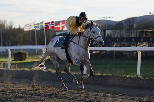 Dark Money ©hesteguiden.com 