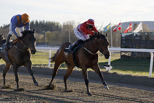 Sid Game ©hesteguiden.com 